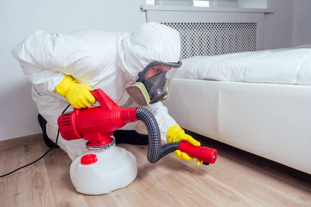 Best Pest Removal Services  in Wood River, NE