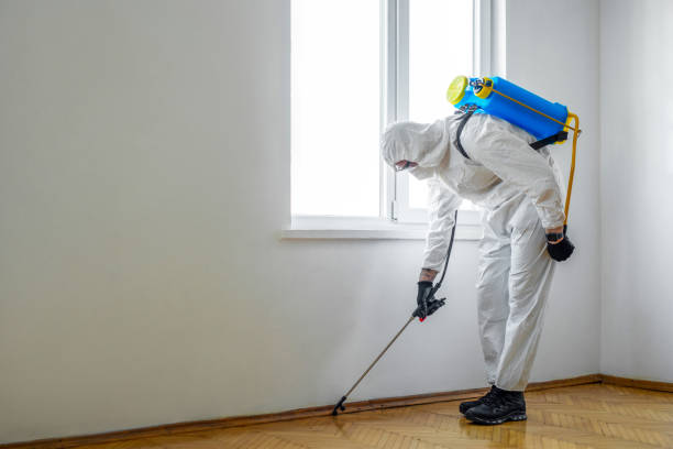 Best Affordable Pest Control Services  in Wood River, NE