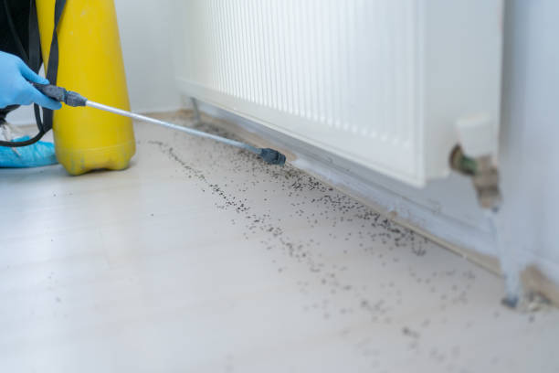 Best Pest Prevention Services  in Wood River, NE