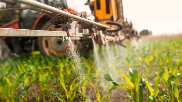 Best Pest Prevention Services  in Wood River, NE